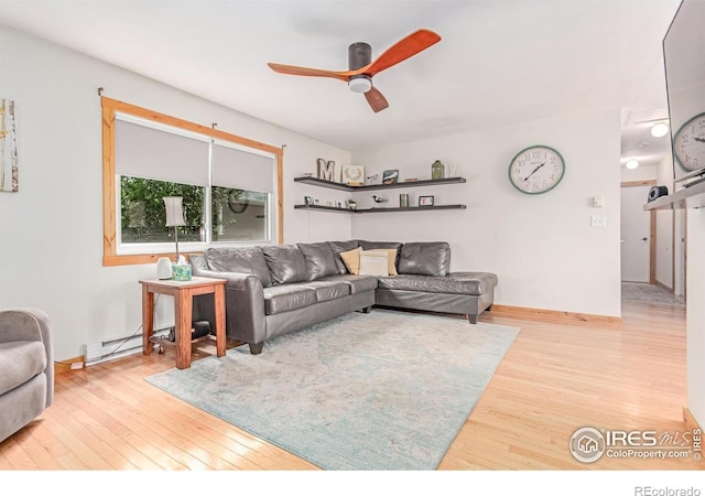 813 Martinez St, Fort Collins, CO 80524 - photo 7