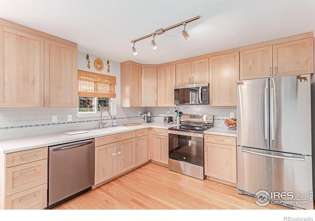 813 Martinez St, Fort Collins, CO 80524 - photo 8