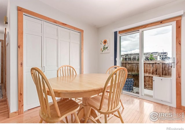 813 Martinez St, Fort Collins, CO 80524 - photo 10