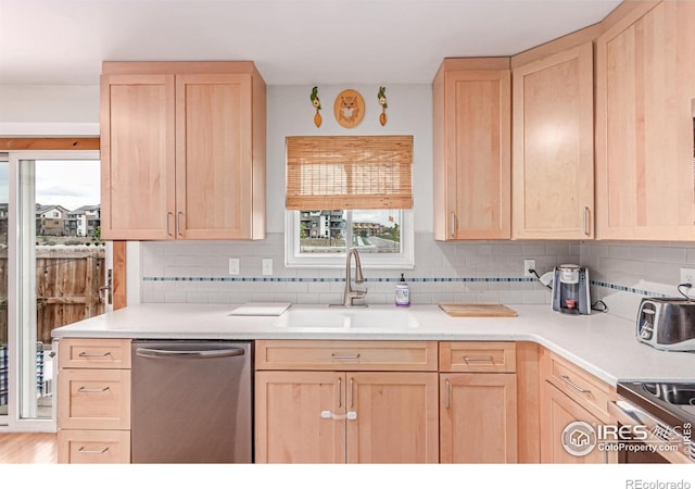 813 Martinez St, Fort Collins, CO 80524 - photo 11