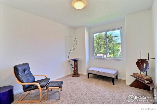 4902 29th St Unit 6D, Greeley, CO 80634 - photo 23