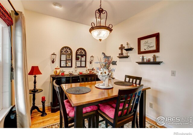 1421 Canal Dr, Windsor, CO 80550 - photo 11
