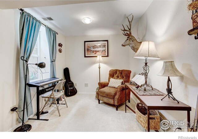 1421 Canal Dr, Windsor, CO 80550 - photo 31