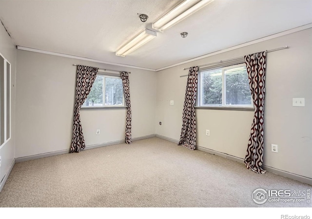 1041 Banyan Ct, Loveland, CO 80538 - photo 22