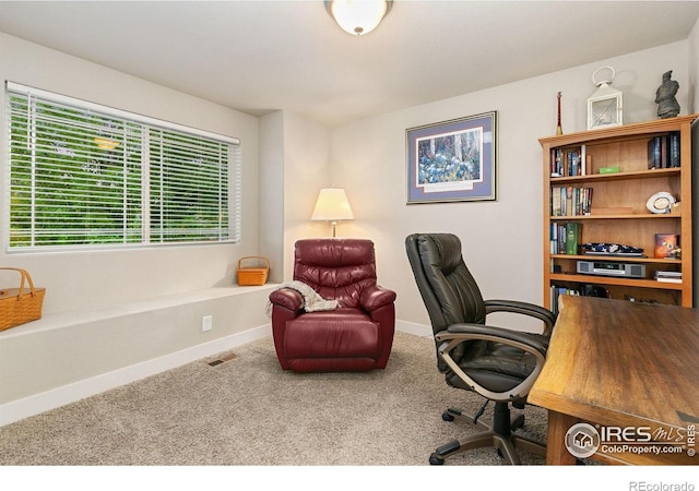 83 Evans St, Severance, CO 80550 - carpeted office space featuring baseboards