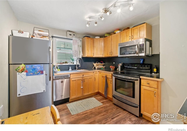 2833 N Overland Trl, Laporte, CO 80535 - photo 21