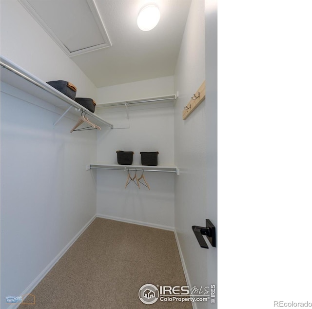 67 Mineola Ct, Boulder, CO 80303 - photo 24