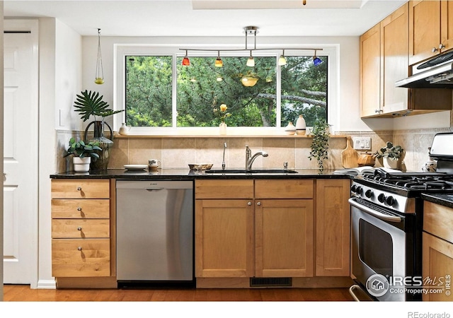 770 Quince Cir, Boulder, CO 80304 - kitchen with stainless steel appliances, under cabinet range hood, light wood-style floors, and plenty of natural light