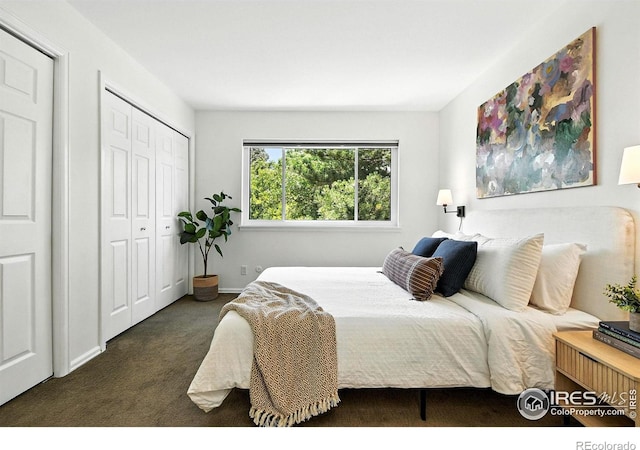 770 Quince Cir, Boulder, CO 80304 - carpeted bedroom with a closet and baseboards