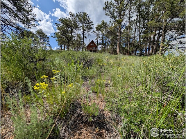 2898 Red Ashby Rd, Livermore, CO 80536 - photo 1