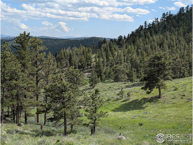 2898 Red Ashby Rd, Livermore, CO 80536 - photo 2