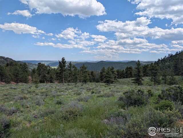 2898 Red Ashby Rd, Livermore, CO 80536 - photo 3