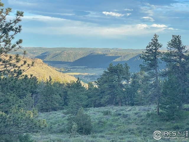 2898 Red Ashby Rd, Livermore, CO 80536 - photo 20