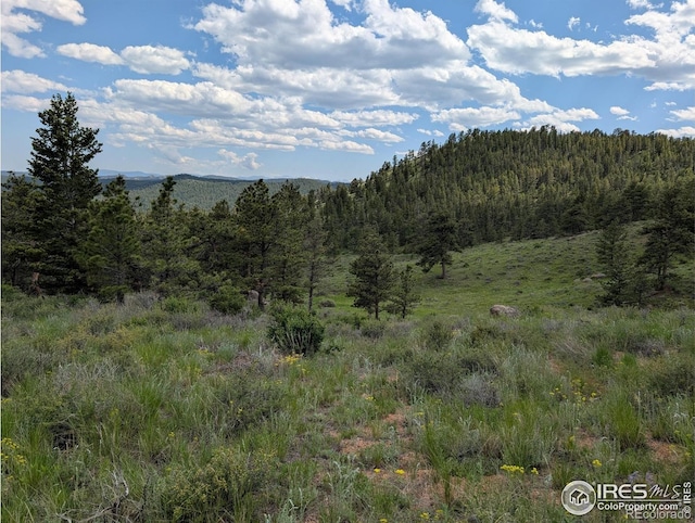 2898 Red Ashby Rd, Livermore, CO 80536 - photo 29