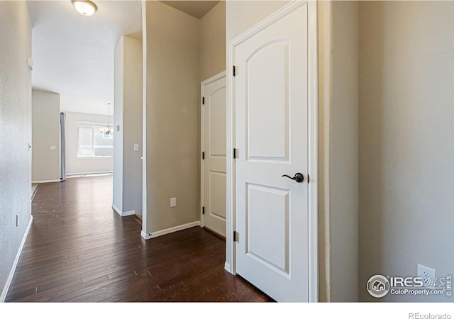10400 17th St, Greeley, CO 80634 - hall with dark wood-style floors and a chandelier