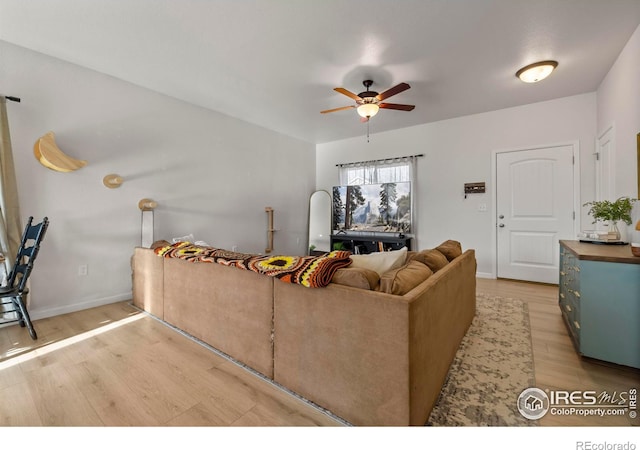 882 S Carriage Dr, Milliken, CO 80543 - photo 4