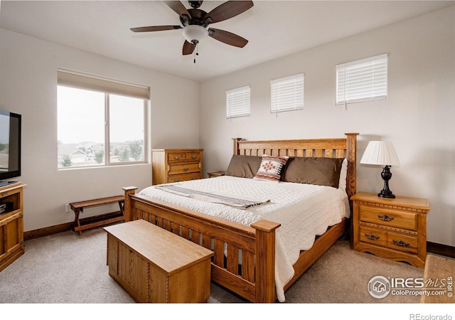 5854 Maidenhead Dr, Windsor, CO 80550 - photo 12