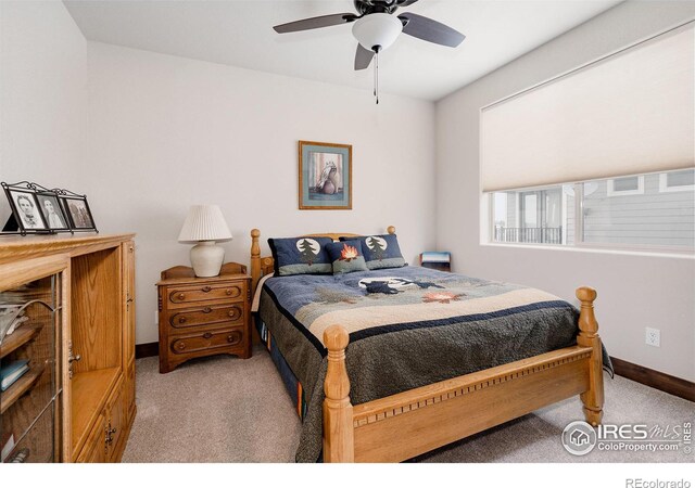 5854 Maidenhead Dr, Windsor, CO 80550 - photo 20