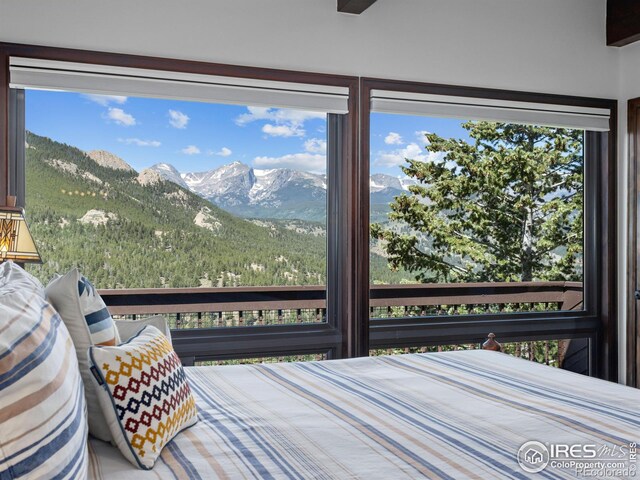 1426 St Moritz Trl, Estes Park, CO 80517 - photo 18