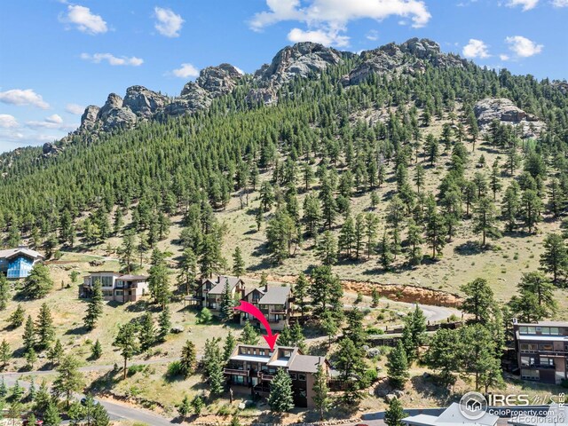 1426 St Moritz Trl, Estes Park, CO 80517 - photo 23