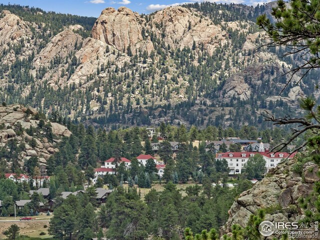 1426 St Moritz Trl, Estes Park, CO 80517 - photo 24
