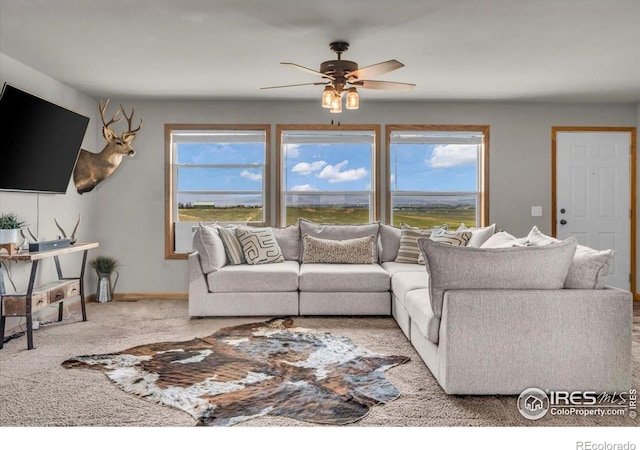 50294 County Road 15, Wellington, CO 80549 - photo 22