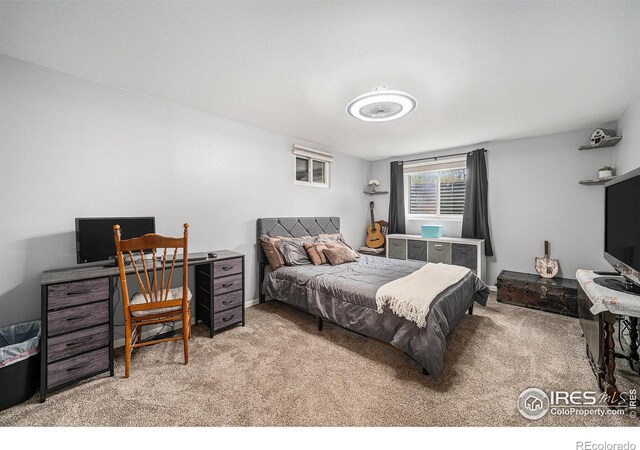 512 Mustang Dr, Loveland, CO 80537 - photo 20