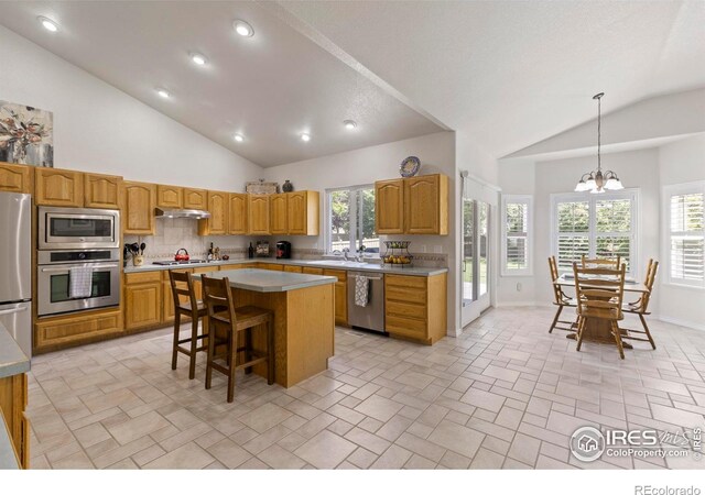 3520 Wild View Dr, Fort Collins, CO 80528 - photo 8