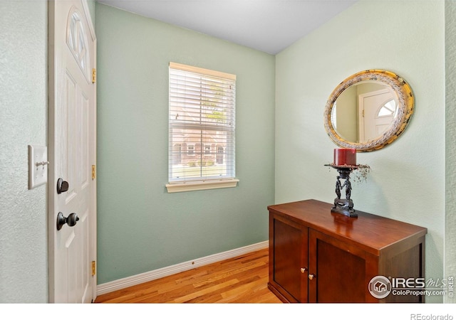 1014 Andrews Peak Dr Unit D112, Fort Collins, CO 80521 - corridor with light wood-style flooring and baseboards