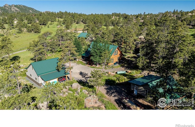 316 Two Bears Rd, Livermore, CO 80536 - photo 4