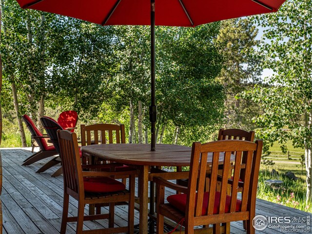316 Two Bears Rd, Livermore, CO 80536 - photo 23