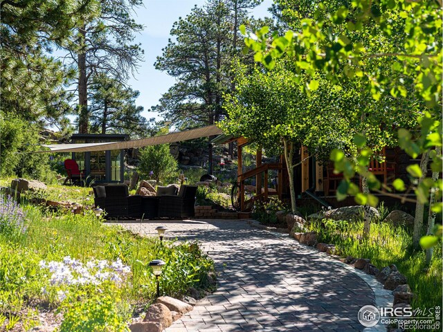 316 Two Bears Rd, Livermore, CO 80536 - photo 24