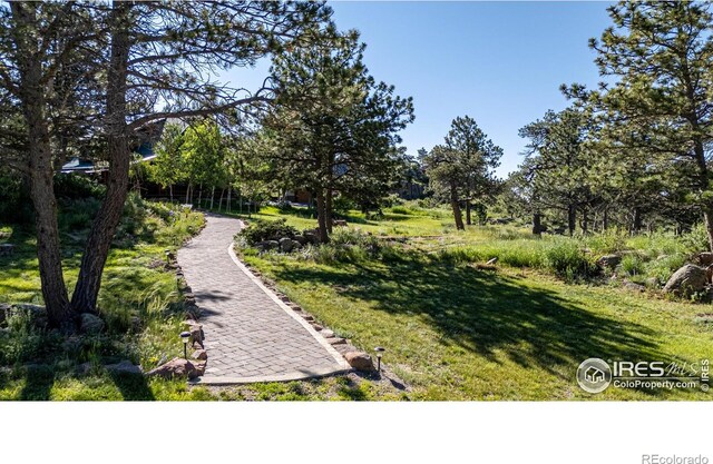 316 Two Bears Rd, Livermore, CO 80536 - photo 27