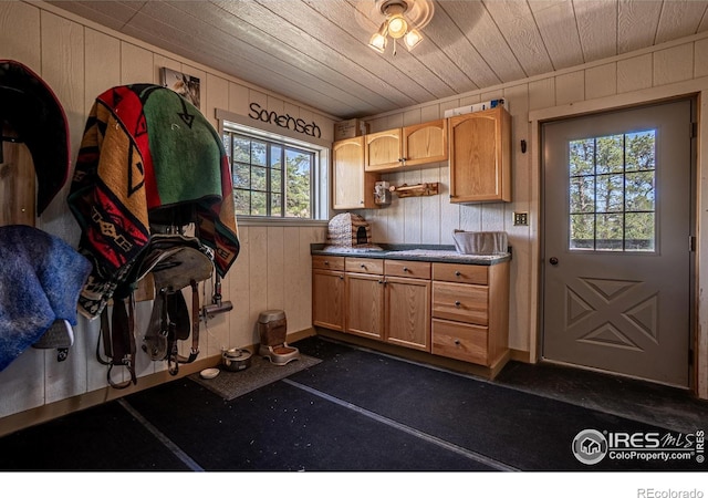 316 Two Bears Rd, Livermore, CO 80536 - photo 31