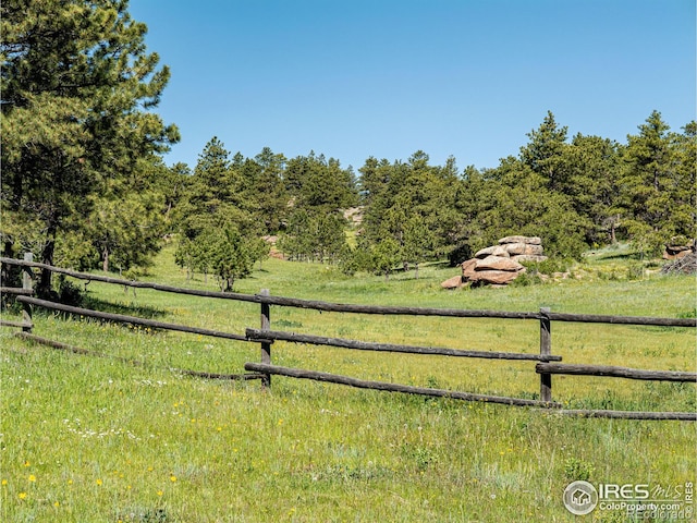 316 Two Bears Rd, Livermore, CO 80536 - photo 32