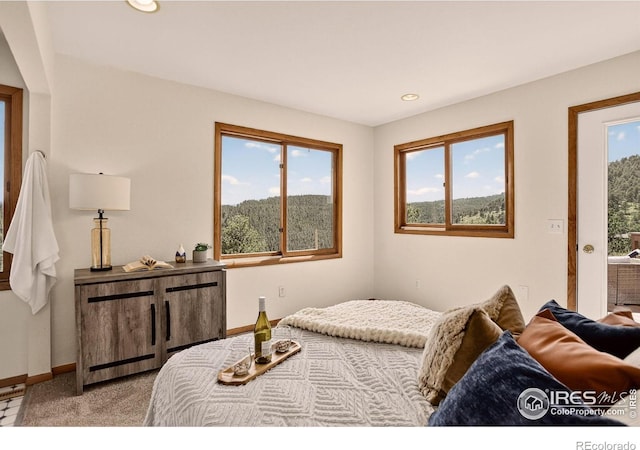 144 Coyote Ct, Boulder, CO 80302 - carpeted bedroom with baseboards and recessed lighting