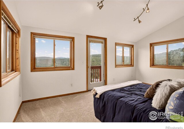 144 Coyote Ct, Boulder, CO 80302 - bedroom featuring access to exterior, multiple windows, carpet, lofted ceiling, and rail lighting