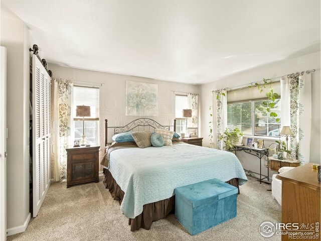 2738 Bradford Sq, Fort Collins, CO 80526 - photo 18
