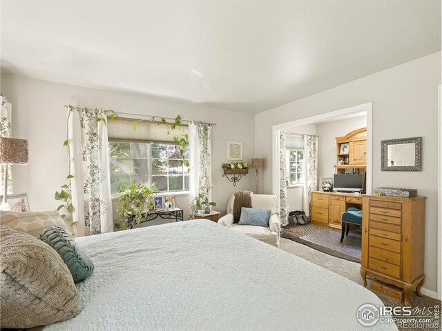 2738 Bradford Sq, Fort Collins, CO 80526 - photo 21