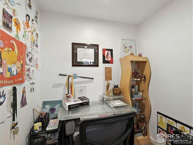 2738 Bradford Sq, Fort Collins, CO 80526 - photo 29