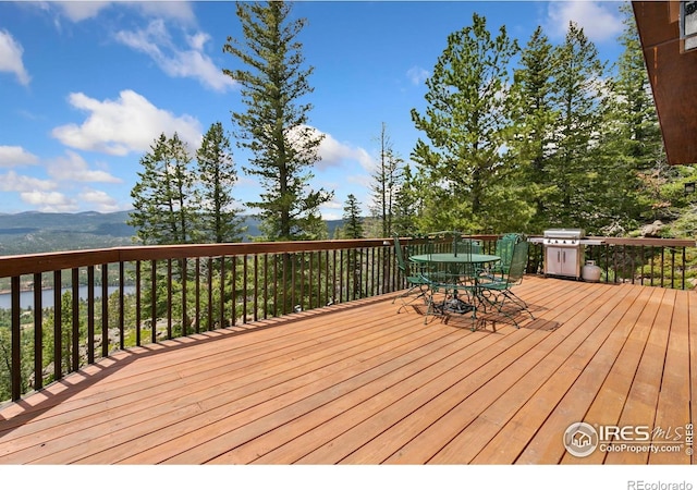 1255 Jicarilla Trl, Red Feather Lakes, CO 80545 - photo 5
