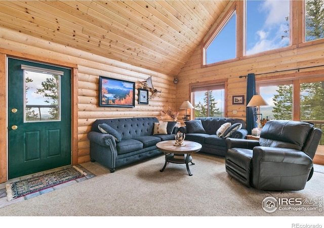 1255 Jicarilla Trl, Red Feather Lakes, CO 80545 - photo 6