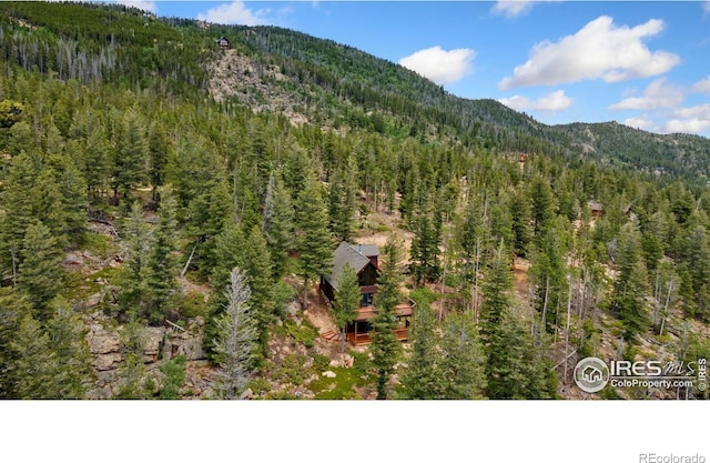 1255 Jicarilla Trl, Red Feather Lakes, CO 80545 - photo 23