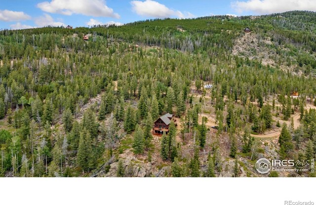 1255 Jicarilla Trl, Red Feather Lakes, CO 80545 - photo 24