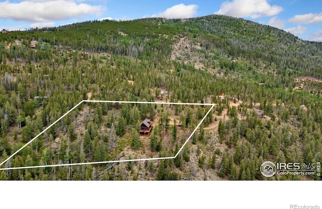 1255 Jicarilla Trl, Red Feather Lakes, CO 80545 - photo 25