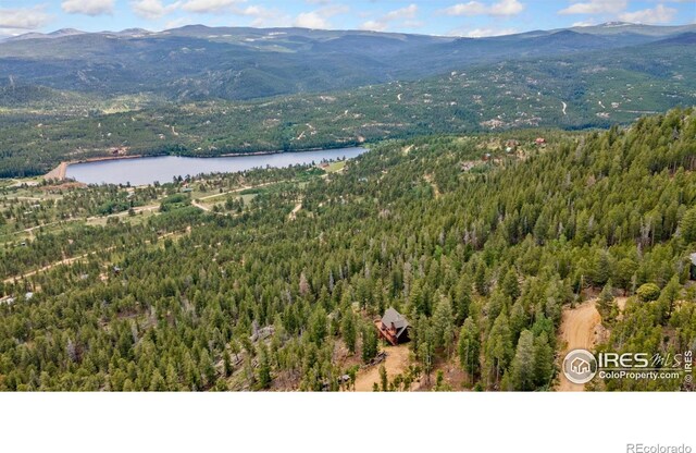 1255 Jicarilla Trl, Red Feather Lakes, CO 80545 - photo 26