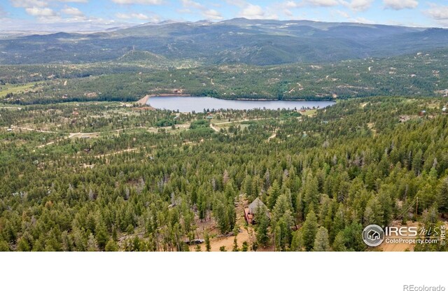 1255 Jicarilla Trl, Red Feather Lakes, CO 80545 - photo 27