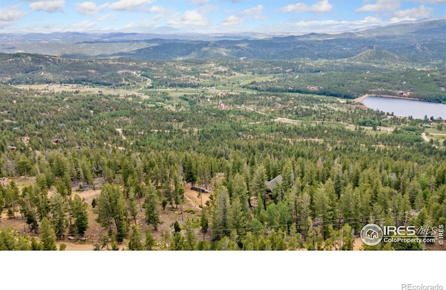1255 Jicarilla Trl, Red Feather Lakes, CO 80545 - photo 28