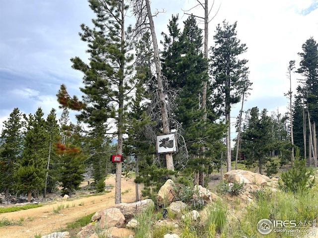 1255 Jicarilla Trl, Red Feather Lakes, CO 80545 - photo 29