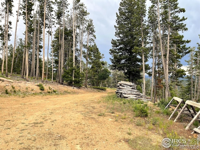 1255 Jicarilla Trl, Red Feather Lakes, CO 80545 - photo 31